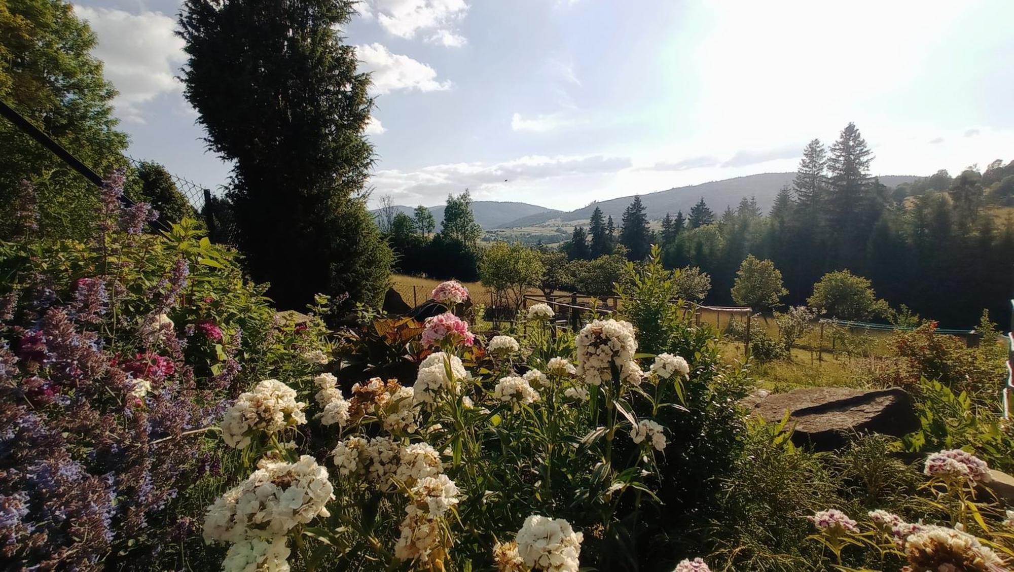 Agroturystyka "Na Polanie" Rajcza Bagian luar foto